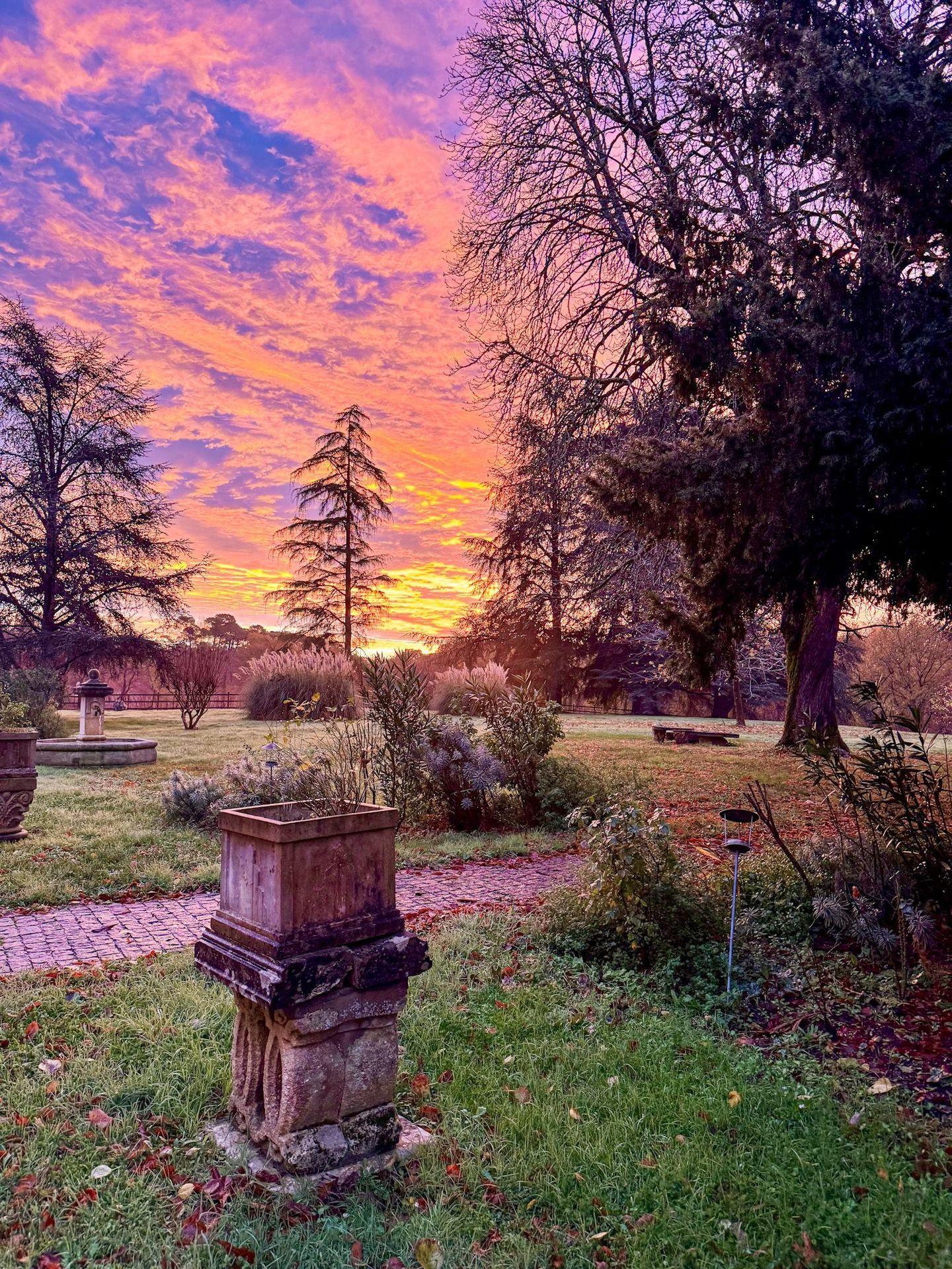 Abendhimmel über der Domaine